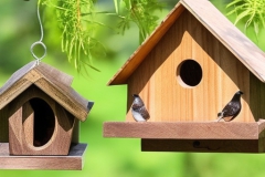 Default_wood_bird_house_with_different_wood_with_bird_1