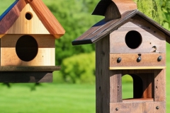 Default_wood_bird_house_with_different_wood_with_bird_2