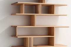 DreamShaper_v5_shelf_simple_with_different_wood_3